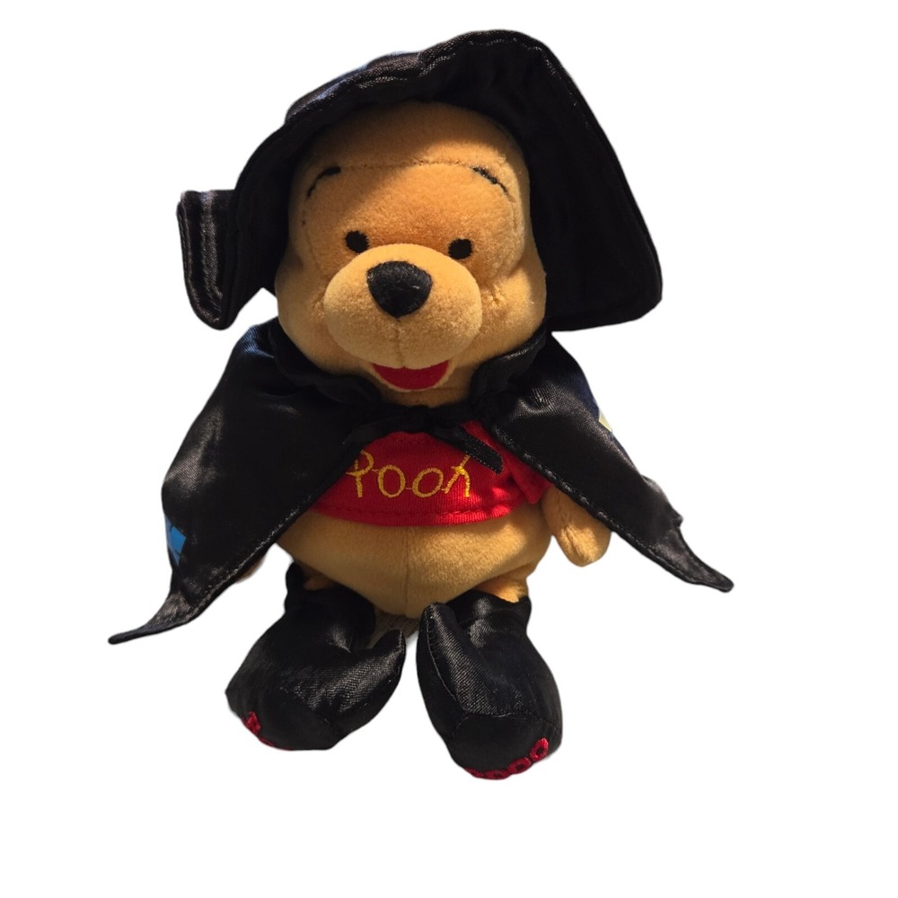 The Walt Disney Company Witch Winnie The Pooh Beanie Plush Vintage 2000